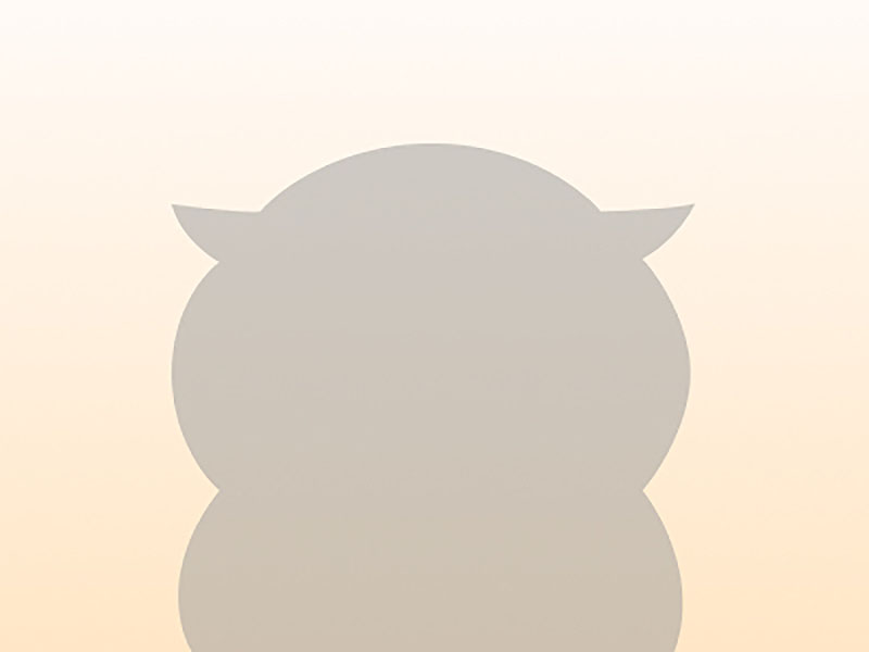 Silhouette Eule